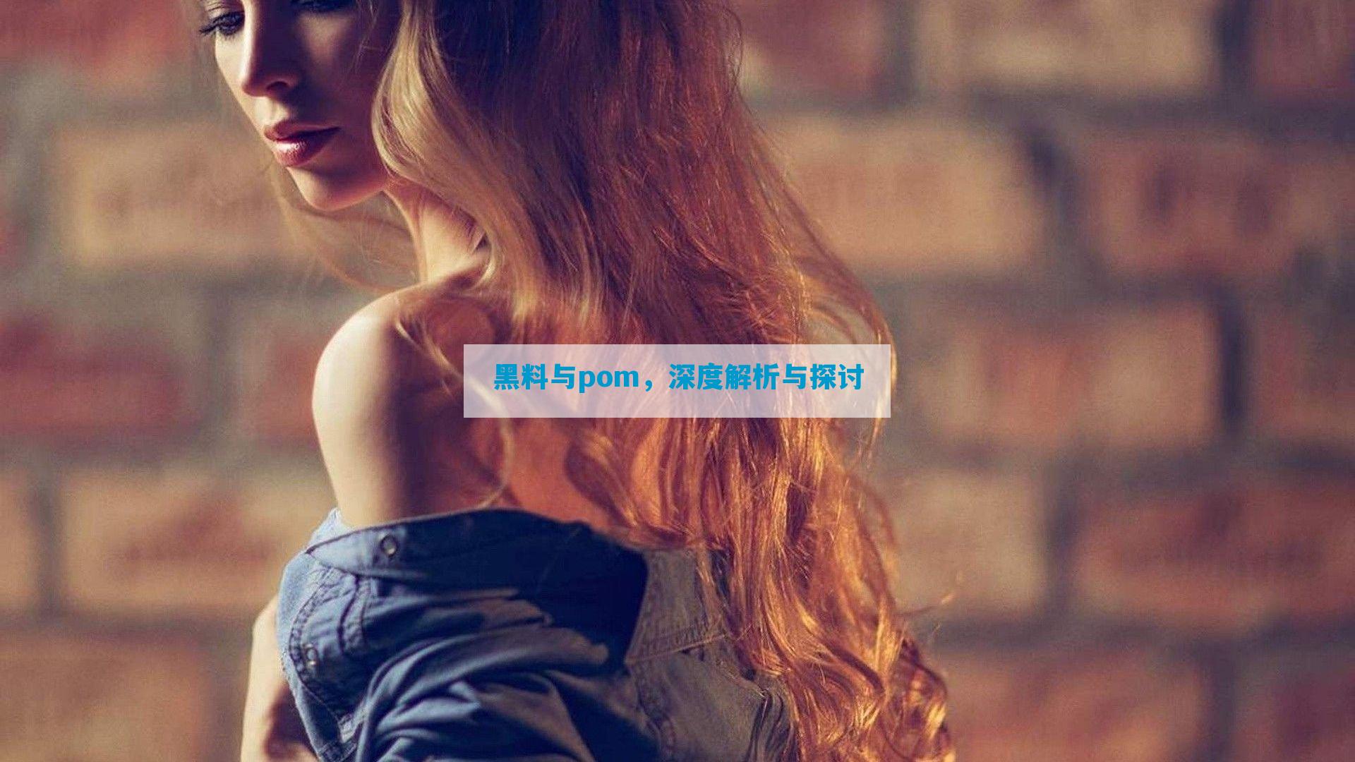 黑料与pom，深度解析与探讨