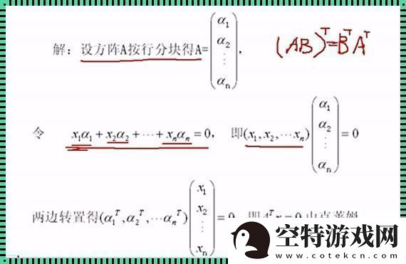 “浪子”行列式线性无关的“嬉皮笑脸”