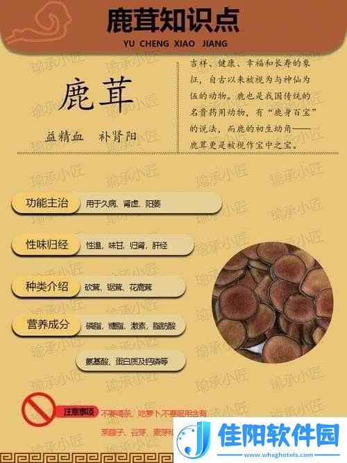 江湖鹿茸药材获取攻略：悠悠江湖鹿茸寻采指南