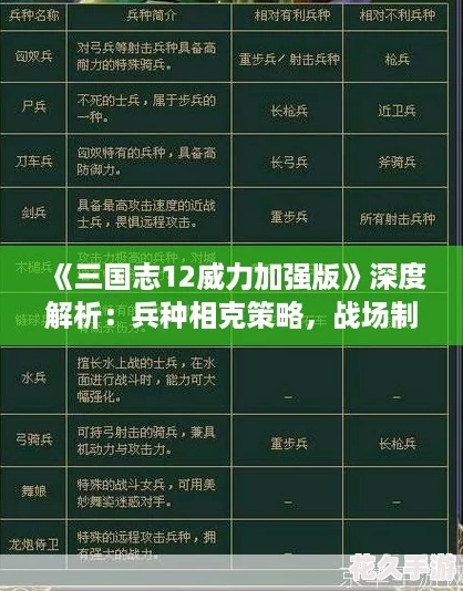 三国志12威力加强版深度解析：兵种相克策略-战场制胜的关键之道！