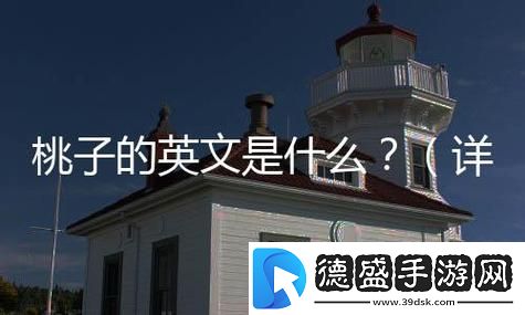 翻译界的瑰宝：小桃子的意大利语之旅