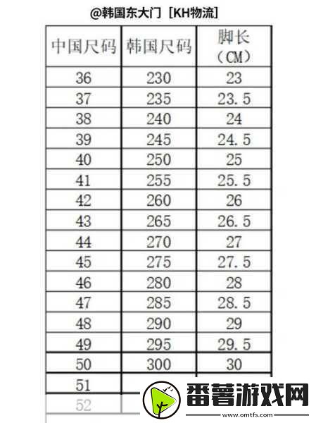 日韩码一码二码三码区别69-1.-深入解析日韩码：一码、二码与三码的独特差异