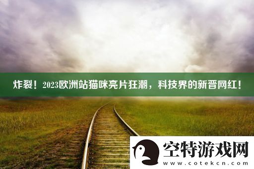 炸裂！2023欧洲站猫咪亮片狂潮科技界的新晋红！！