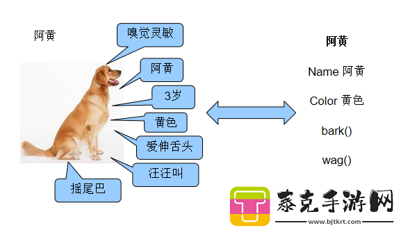 狗大战-csdn-与现实对比之深度剖析！