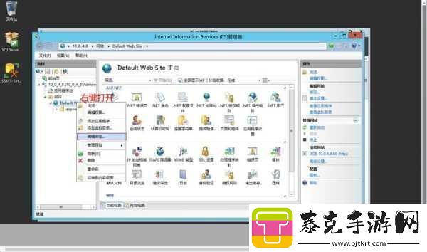 VPSWINDOWS另类极品有超多线路可选