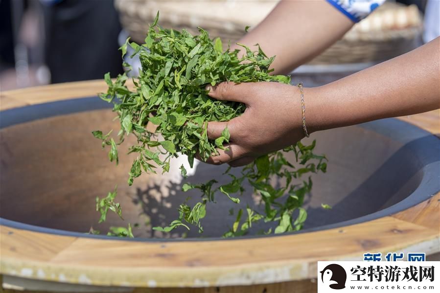 糖心剧情茶艺娜娜：解锁茶香中的甜美人生！