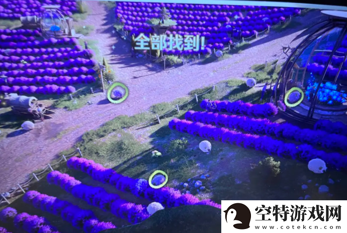 无限暖暖照片调查走丢的绵羊任务攻略