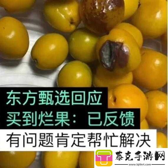 桃子移植像素侵犯后果严重或涉侵权和违法