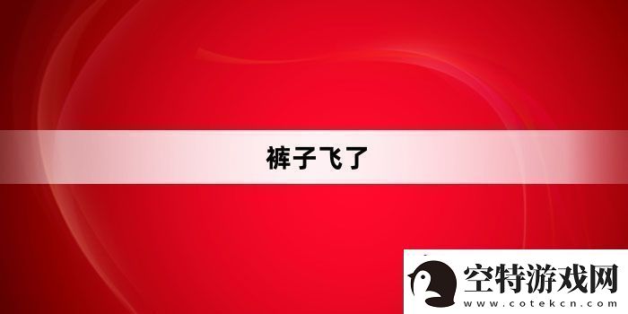 裤子飞了是什么梗络用语-裤子飞了梗意思及出处分享！