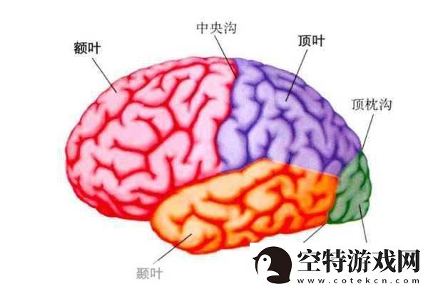 分裂之门2震撼来袭-三大派系能力全揭秘！！