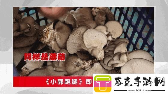 “蘑菇哥”狂潮来袭