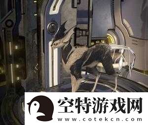 Warframe库娃与星际战甲的猫