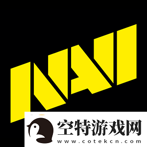 seized分析RMR独联体队伍晋级形势：NAVI和Spirit没问题！