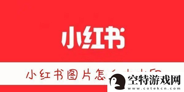 小红书图片无水印保存方法-小红书图片怎么去水印保存！