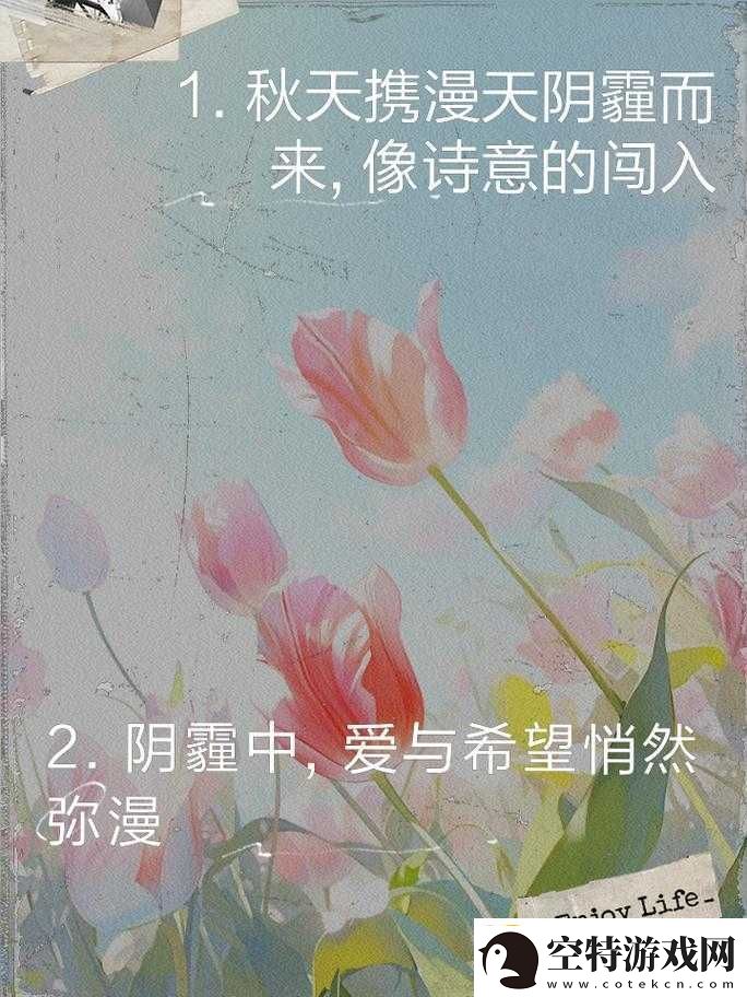 今夜无人入睡：爱与希望的交织！