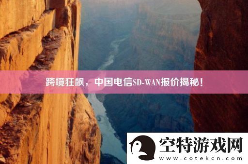 跨境狂飙中国电信SDWAN报价揭秘！！