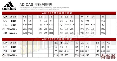 四叶草m码和欧洲码的888区分：了解尺码差异-选择合适鞋款更轻松！