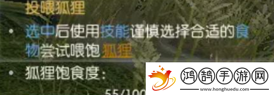 逆水寒手游絮絮狐语逸闻任务怎么做！