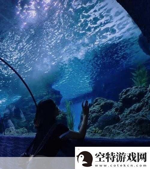 探索神奇海洋奥秘