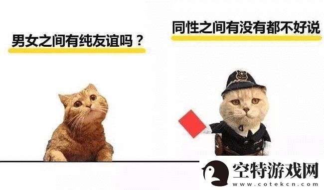 埃及猫和小男孩瑟瑟的奇妙友谊：揭开迷人瞬间的故事！