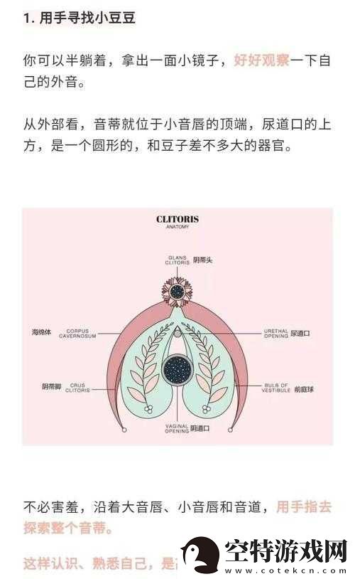 怎么让小豆豆变大的方法