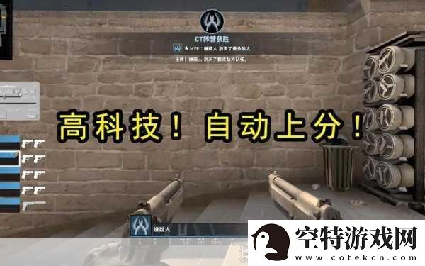 暴躁老阿姨CSGO技巧揭秘-1.-暴躁老阿姨的CSGO生存秘籍全解析！