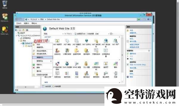 VPSWINDOWS另类极品有超多线路可选