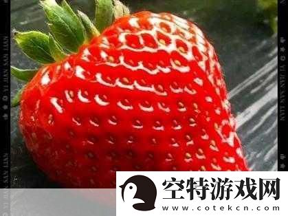 香蕉菠萝黄瓜草莓樱桃榴莲茄子-1.-热带水果的奇妙组合：从香蕉到榴莲！