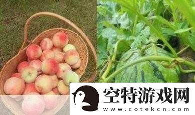 草莓丝瓜榴莲秋葵黄瓜丝