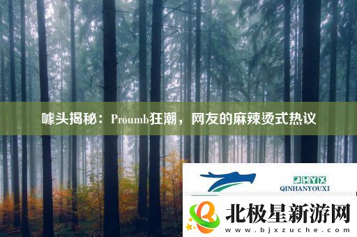 噱头揭秘：Proumb狂潮-友的麻辣烫式热议