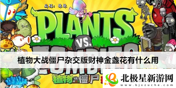 植物大战僵尸杂交版财神金盏花有什么用