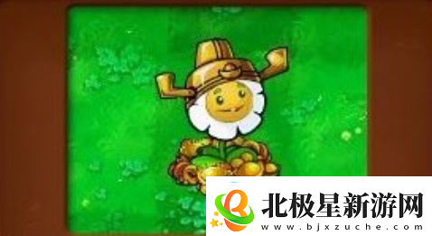 植物大战僵尸杂交版财神金盏花有什么用