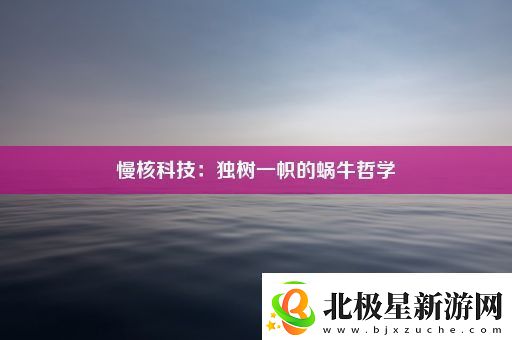 慢核科技：独树一帜的蜗牛哲学