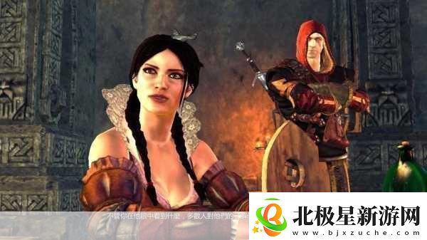 巫师2:刺客之王石像鬼合约任务全解析